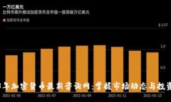 2023年加密货币最新咨询网