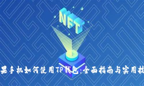 苹果手机如何使用TP钱包：全面指南与实用技巧