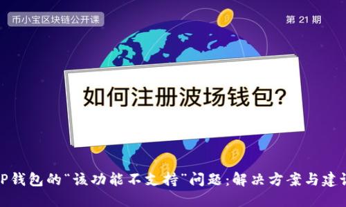 TP钱包的“该功能不支持”问题：解决方案与建议