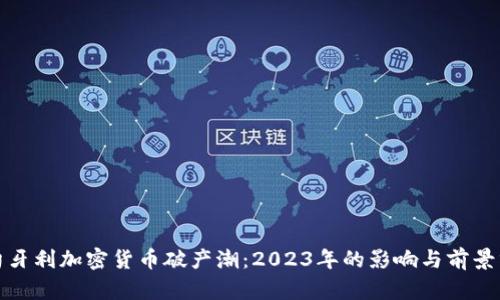 : 匈牙利加密货币破产潮：2023年的影响与前景分析