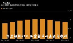 深度解析XEC：加密货币的