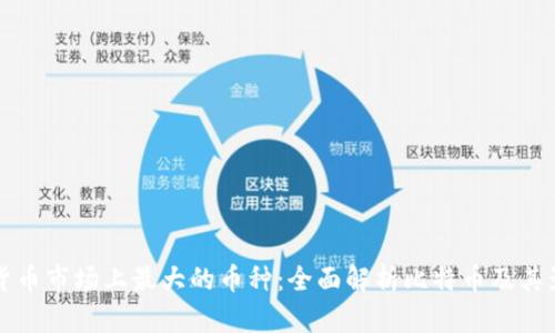 加密货币市场上最大的币种：全面解析比特币及其影响力