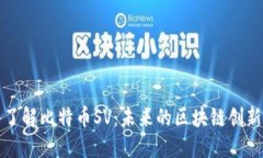 深入了解比特币SV：未来的