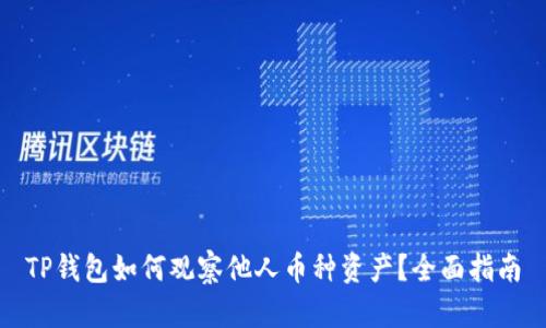 TP钱包如何观察他人币种资产？全面指南