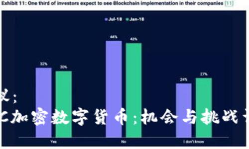 建议：
AMC加密数字货币：机会与挑战详解