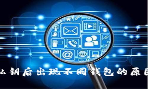 TP钱包导入私钥后出现不同钱包的原因及解决方案