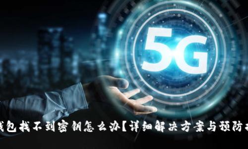 TP钱包找不到密钥怎么办？详细解决方案与预防措施
