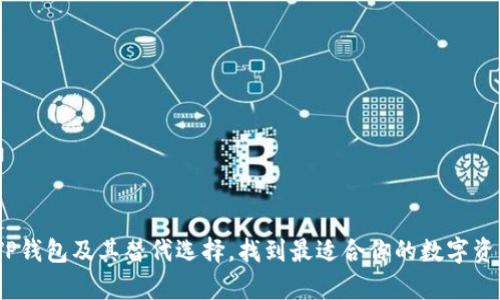 全面解析：TP钱包及其替代选择，找到最适合你的数字资产管理工具