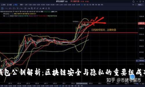 TP钱包公钥解析：区块链安全与隐私的重要组成部分