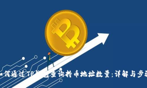 如何通过TP钱包查询持币地址数量：详解与步骤