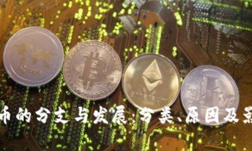 加密货币的分支与发展：分类、原因及影响解析
