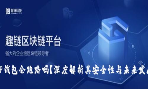 TP钱包会跑路吗？深度解析其安全性与未来发展