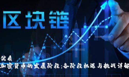 优质
加密货币的发展阶段：各阶段机遇与挑战详解