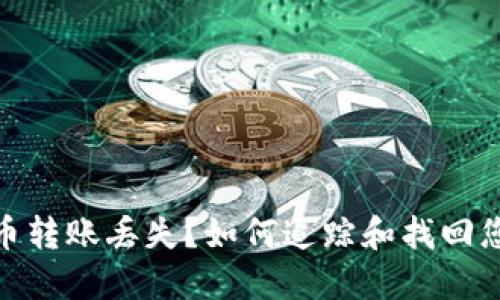 加密货币转账丢失？如何追踪和找回您的资金