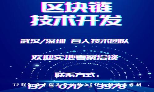 TP钱包在中国是否被禁止？详细解读与分析