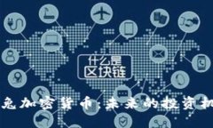 深入探讨火箭兔加密货币
