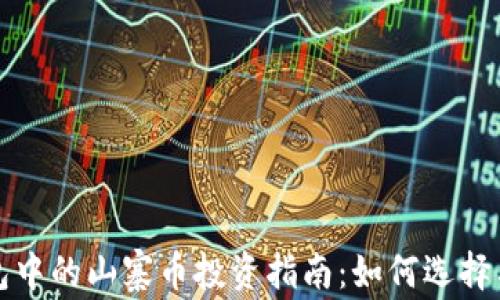 
TP钱包中的山寨币投资指南：如何选择与管理