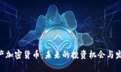 CMI中产加密货币：未来的