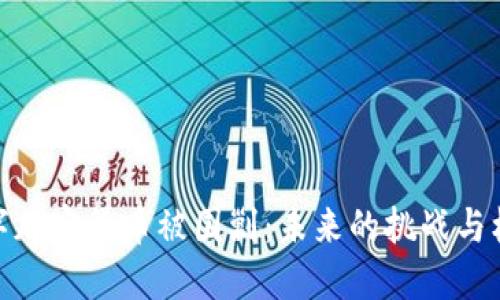 数字加密货币被围剿：未来的挑战与机遇