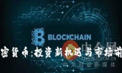 WSB加密货币：投资新机遇