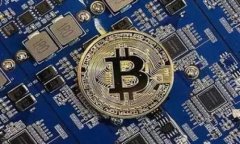 鱿鱼牌加密货币：揭秘其