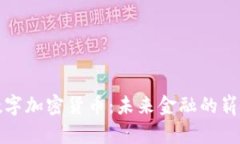 WXC数字加密货币：未来金