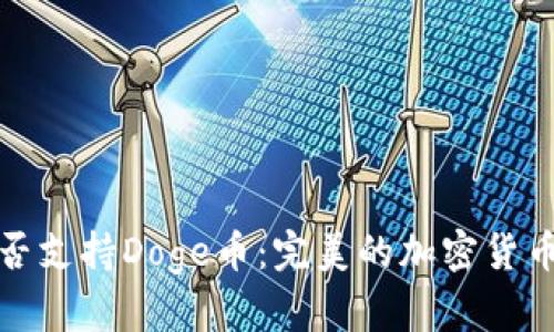 TP钱包能否支持Doge币：完美的加密货币管理工具
