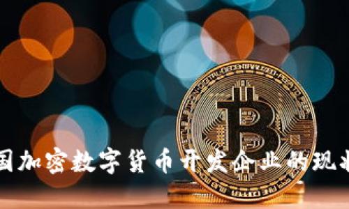 揭秘中国加密数字货币开发企业的现状与未来