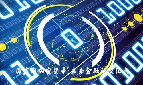 国家与加密货币：未来金融的交汇点