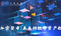 DogeKing加密货币：未来的数