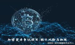 加密货币争议项目：揭示