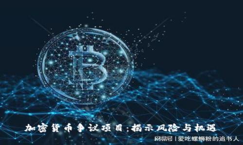 加密货币争议项目：揭示风险与机遇