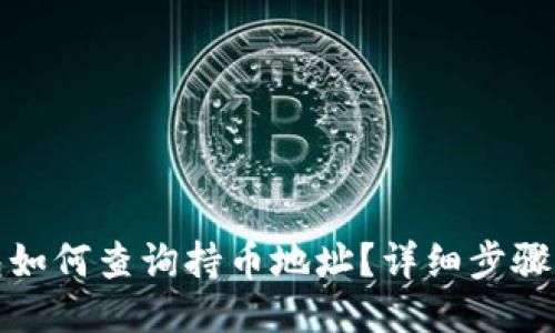 TP钱包如何查询持币地址？详细步骤与技巧