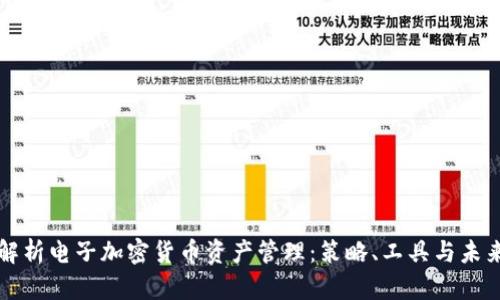 全面解析电子加密货币资产管理：策略、工具与未来展望