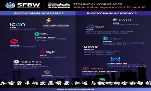 加密货币的发展前景：机遇与挑战的全面解析