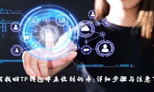 如何找回TP钱包中未收到的币：详细步骤与注意事项