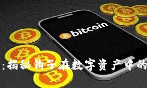 带钩的加密货币：揭秘钩子在数字资产中的作用与投资前景