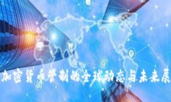 怕对加密货币管制的全球