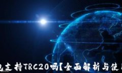 TP钱包支持TRC20吗？全面解析与使用指南