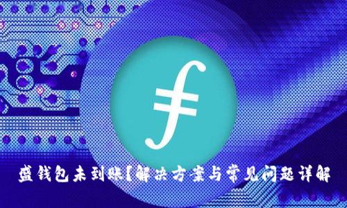 盛钱包未到账？解决方案与常见问题详解